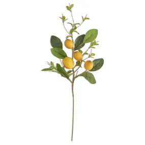 28in Lemon Foliage