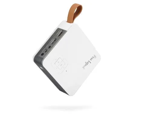 Acer PV11 data projector Standard throw projector DLP White