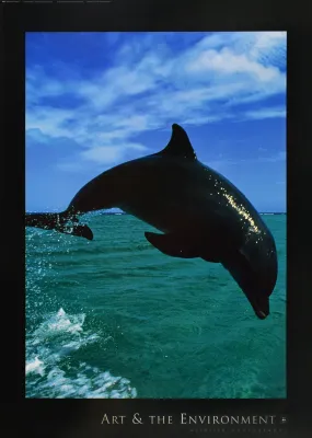 Bottlenose Dolphin by Konrad Wothe