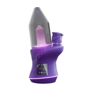 CARTA 2 - Grape
