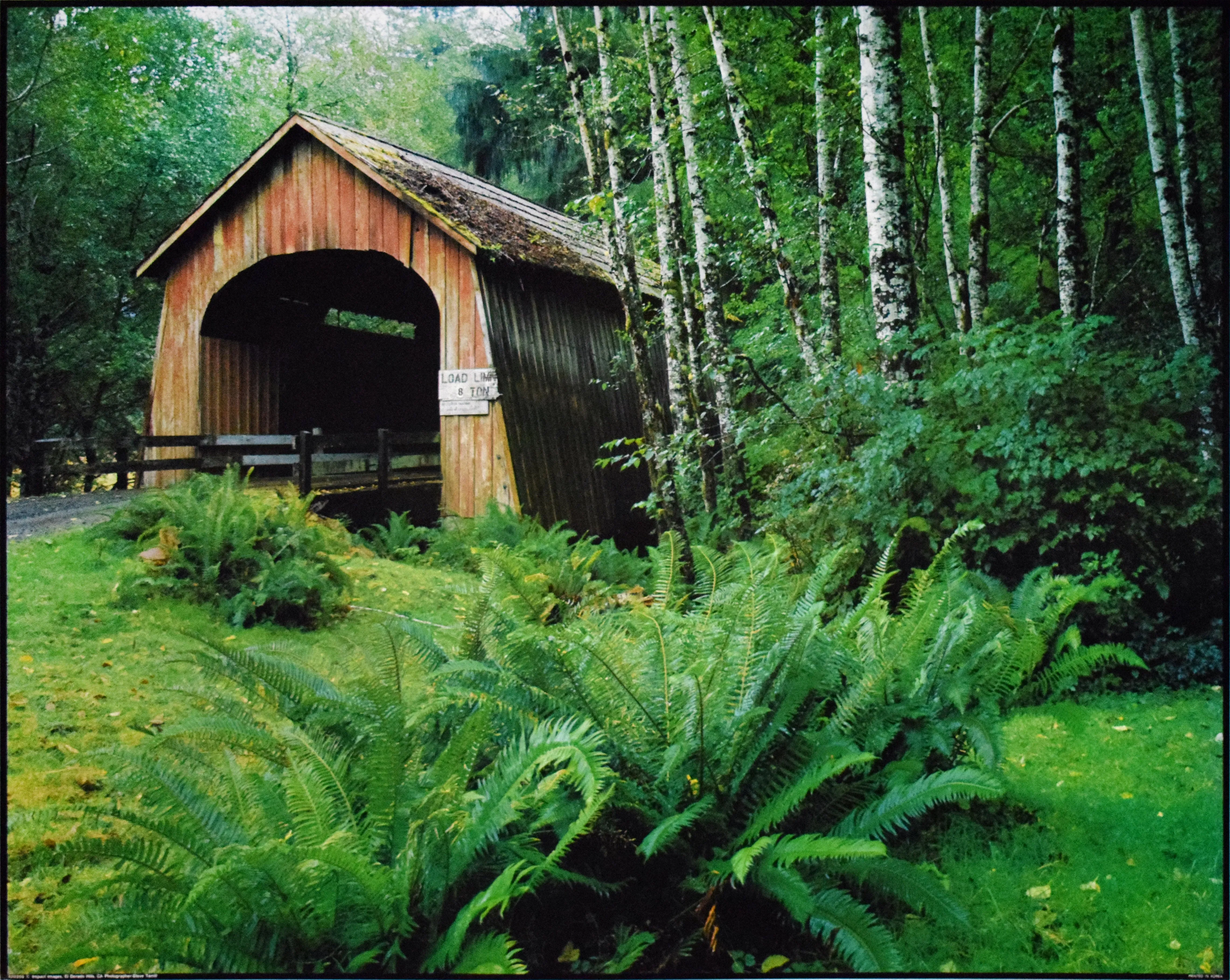 Covered Bridge by Steve Terrill