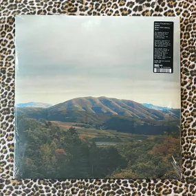Dirty Projectors   Bjork: Mount Wittenberg Orca 12" (RSD 2023)
