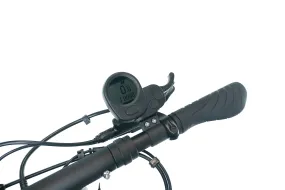 Display and Throttle - iMax T3