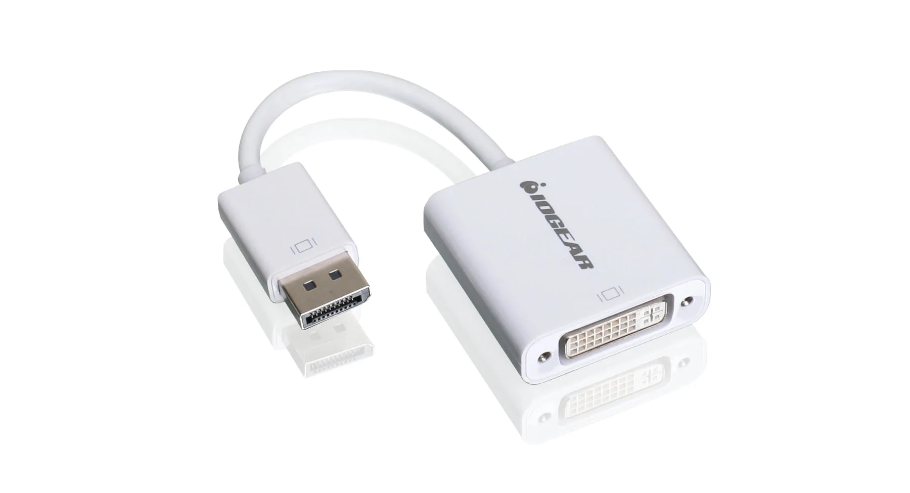 DisplayPort to DVI Adapter Cable