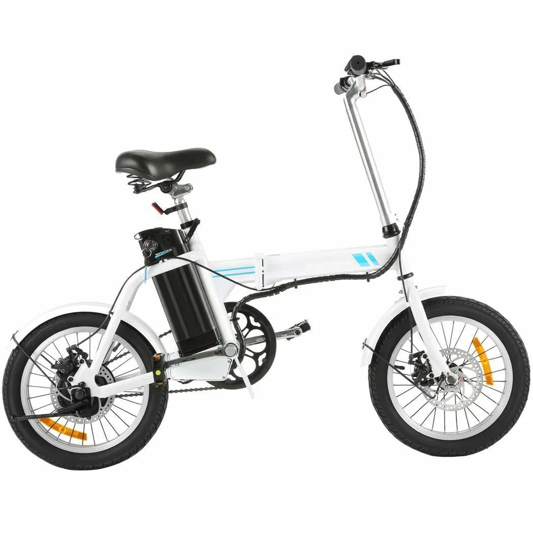 Electric Folding Bike 36V 250W 8Ah Lithium