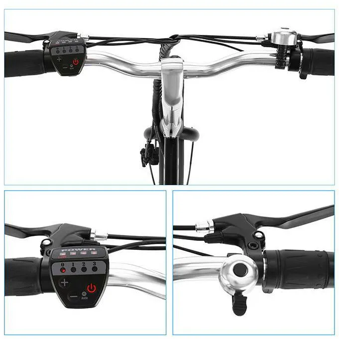 Electric Folding Bike 36V 250W 8Ah Lithium