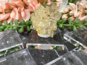 Faceted Acrylic Squares