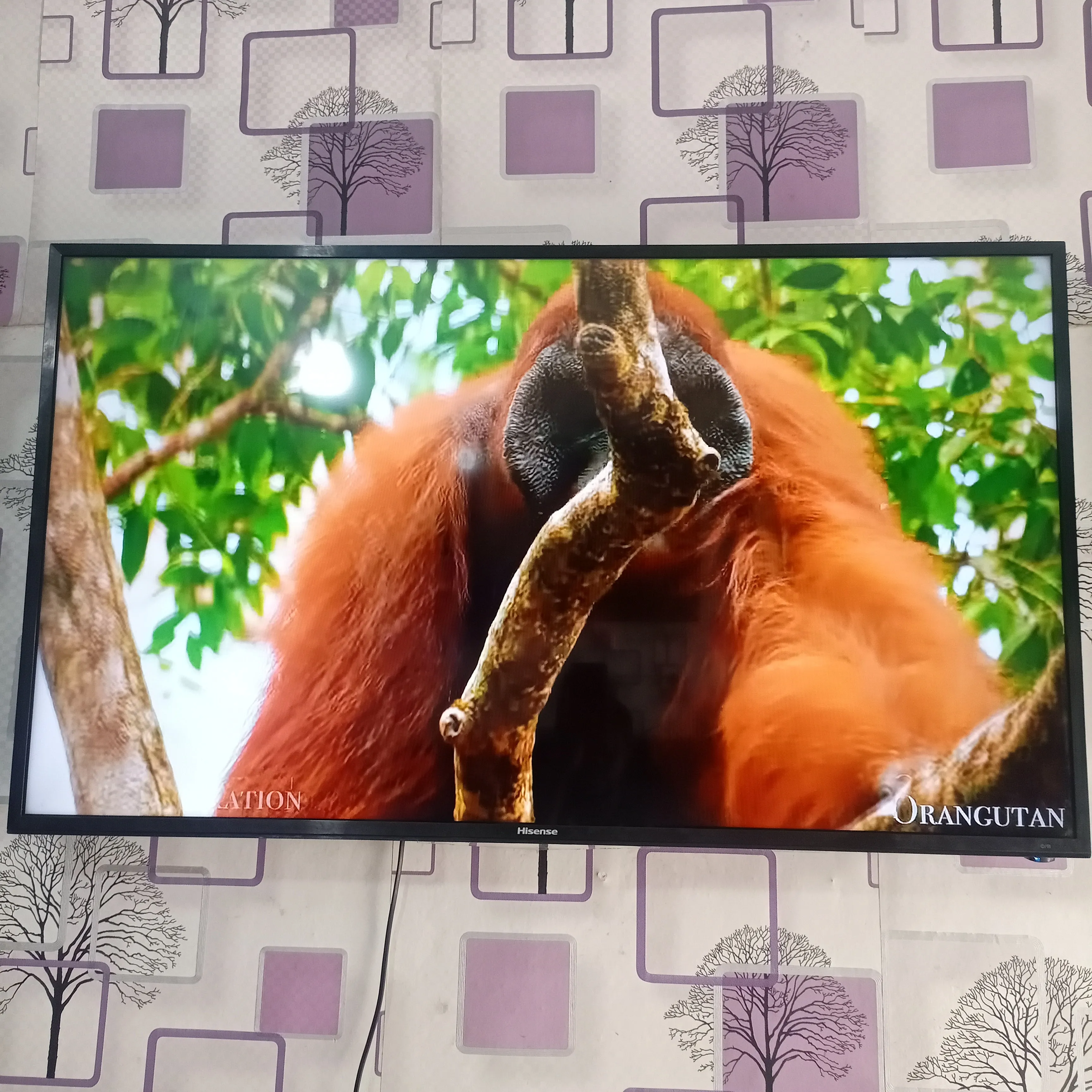 Foreign Used Hisense 49-inch VIDAA Smart 4K UHD LED TV with Built-in WiFi and Miracast