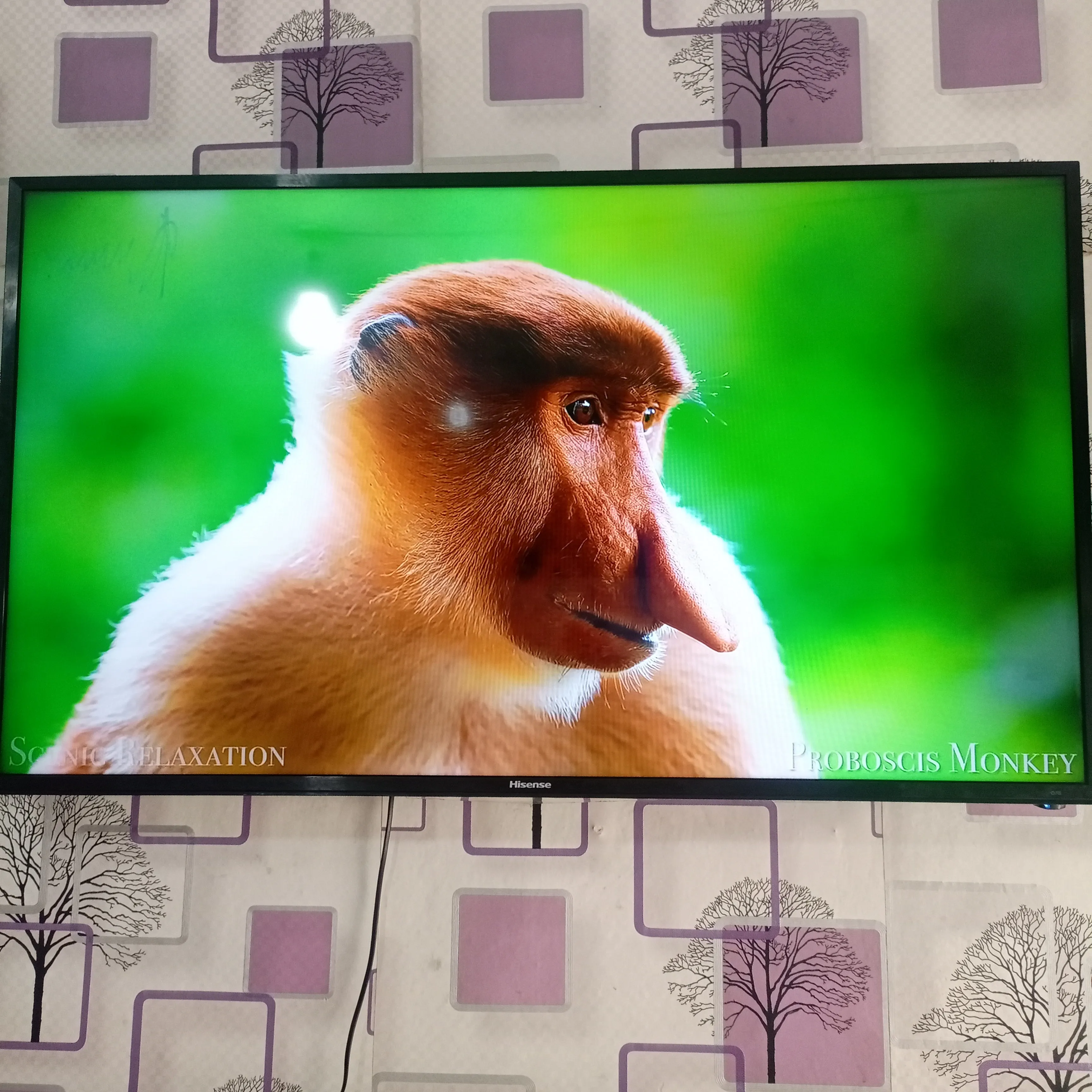 Foreign Used Hisense 49-inch VIDAA Smart 4K UHD LED TV with Built-in WiFi and Miracast