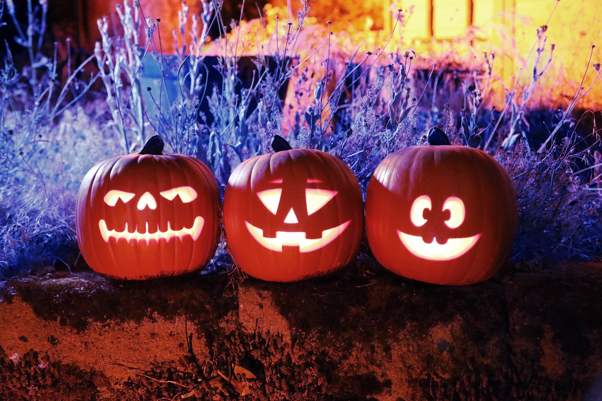 Jack-O’-Lantern Jamboree 3