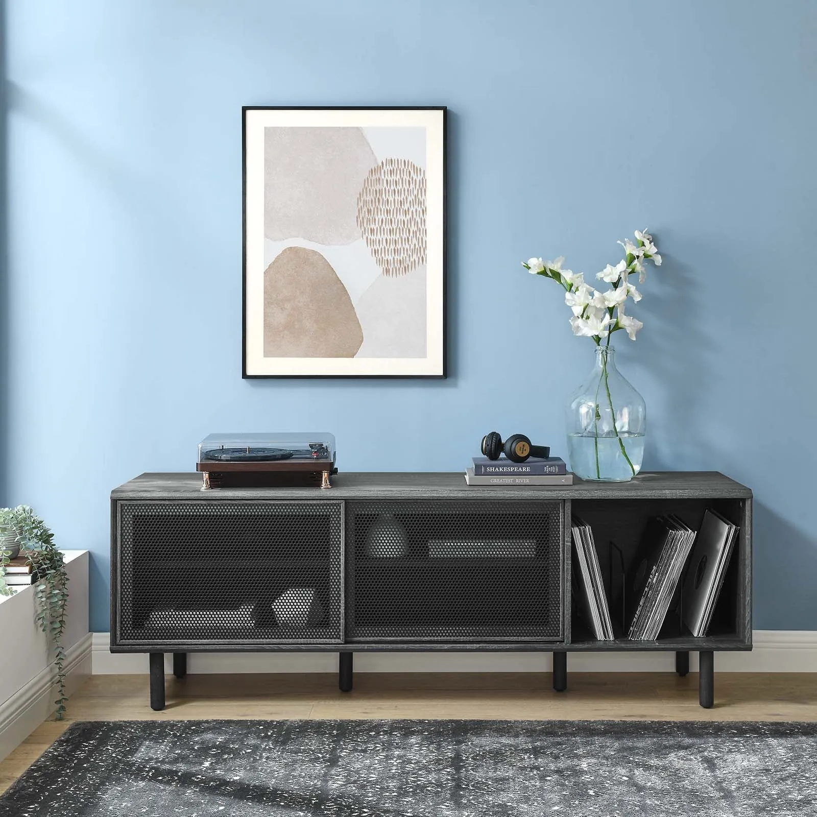 Kurtis 67" TV and Vinyl Record Stand Charcoal EEI-6236-CHA