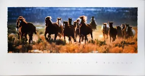 Roundup by David R. Stoecklein
