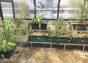 Tiered 1900L Stand