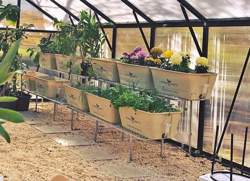 Tiered 1900L Stand