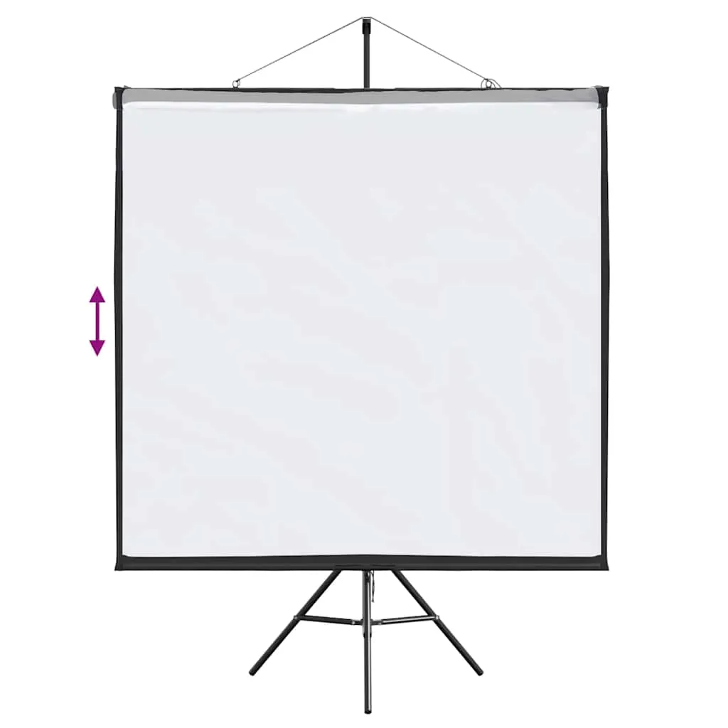 vidaXL Projection Screen with Tripod 67 Inch 1:1